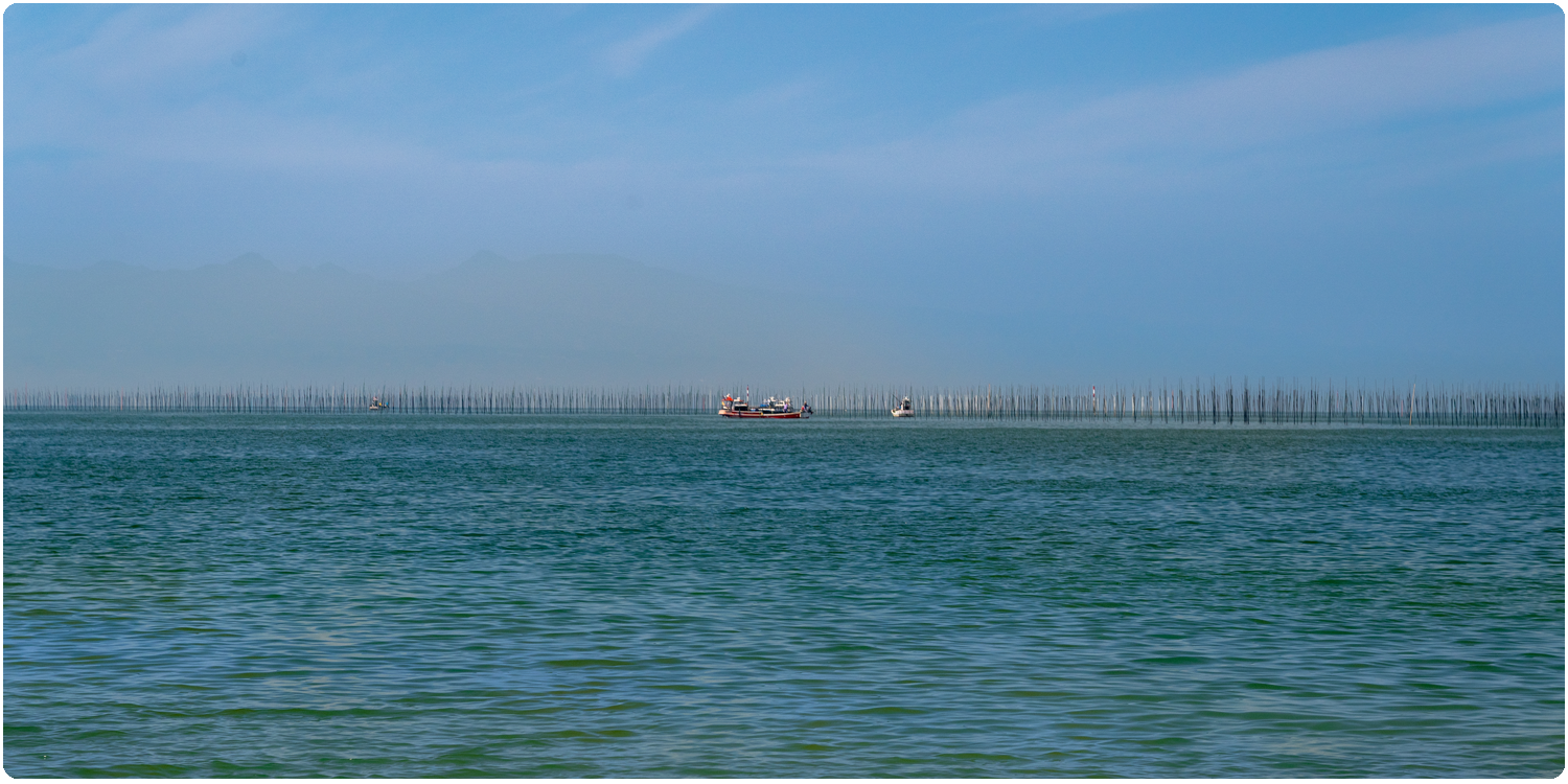 長崎 有明　海産物　坂田冷凍
