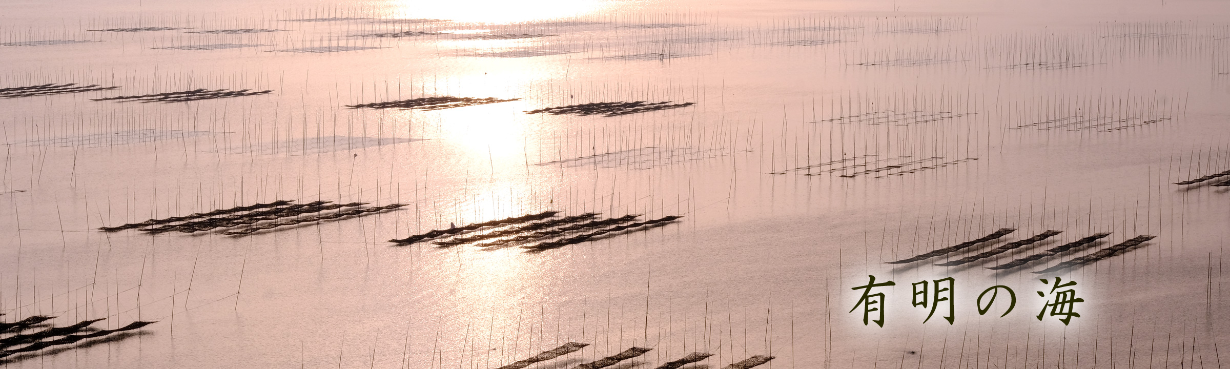 長崎 有明　海産物　坂田冷凍