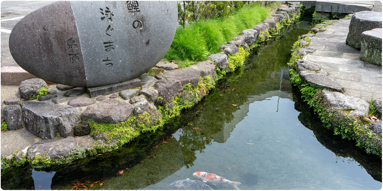 長崎 有明　海産物　坂田冷凍