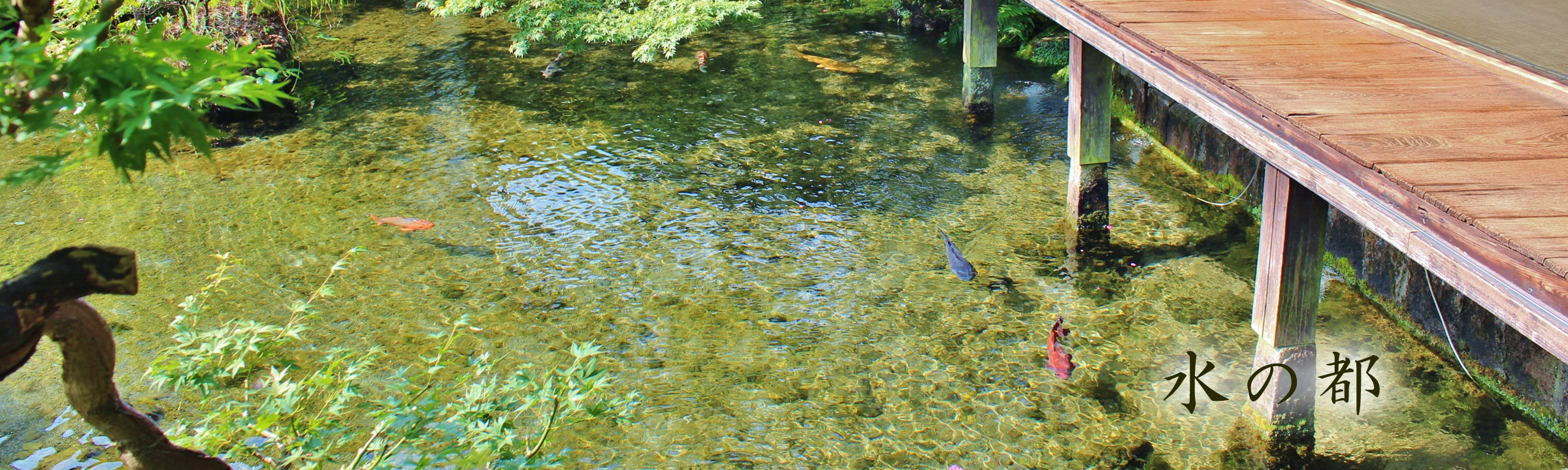 手造り味噌　麹屋　原味噌本店