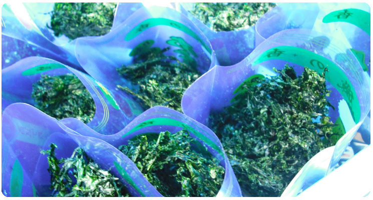 長崎 有明　海産物　坂田冷凍