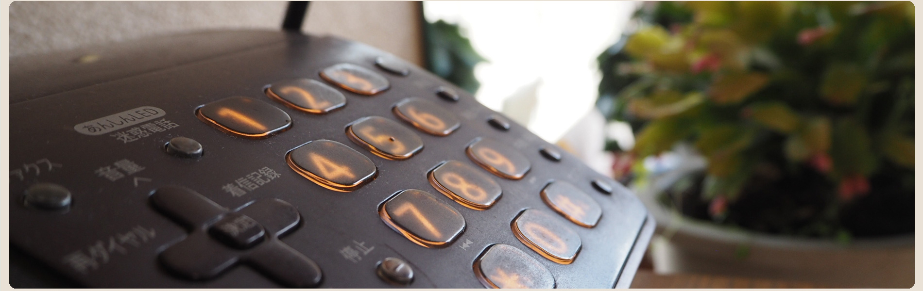 長崎 有明　海産物　坂田冷凍