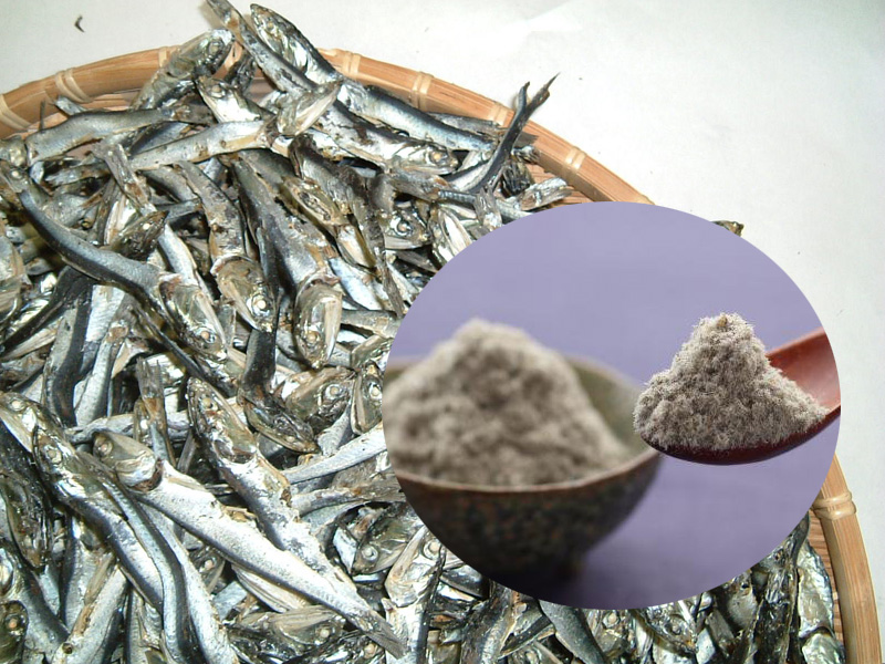 長崎 有明 海産物 坂田冷凍