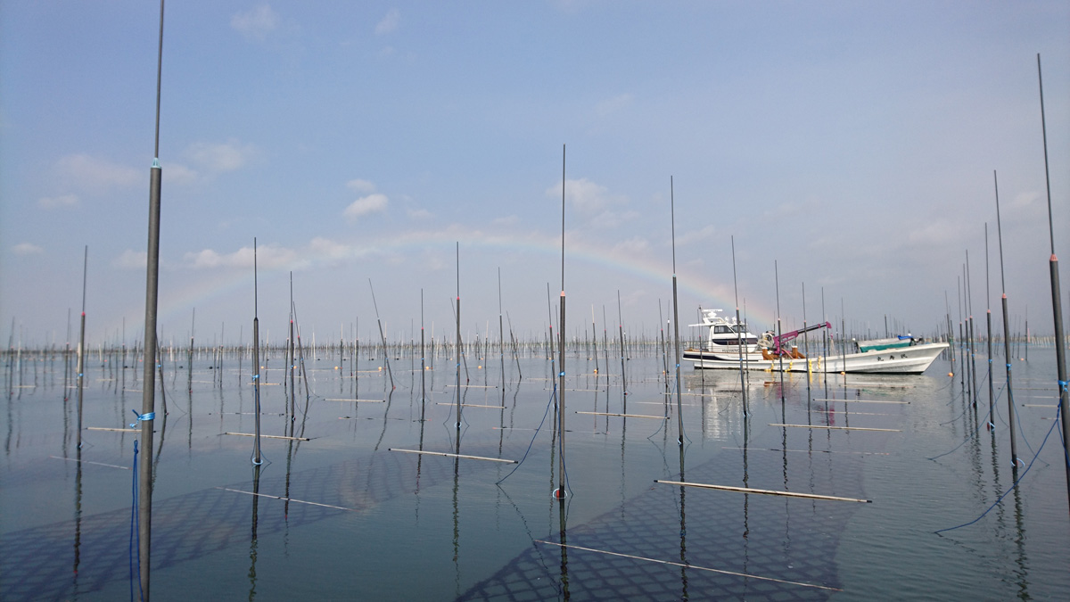 長崎 有明 海産物 坂田冷凍